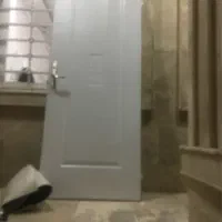 درچوبی سفید یکعددبا چهارچوب یک عدد بدون چهارچوب