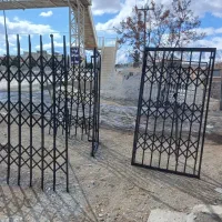 شاخ گوزنی اکاردئونی