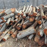چوب باغی شمارونقدخریداریم