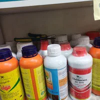 سمپاشی تضمینی کلیه حشرات خانگی(مخصوصاساس) وجوندگان|خدمات نظافت|تهران, پامنار|دیوار