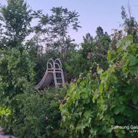 اجاره باغ ویلا شاهنامه ۳۶ استخر ابگرم  کودک‌ وبزرگ|اجارهٔ کوتاه‌مدت ویلا و باغ|مشهد, الهیه|دیوار