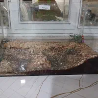 اکواریوم