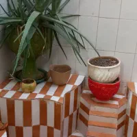 گلدان سرامیک و گلی