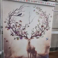 دومکانیزم چاپی شب