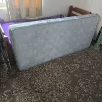 تشک نوجوان رویا