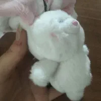 عروسک خرگوشی|اسباببازی بچه|کرج, خرمدشت|دیوار