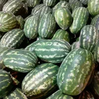 وانت اجاره ای