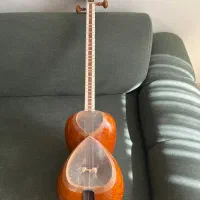 تار جلیل صالحی|سازهای سنتی|تهران, بهار|دیوار