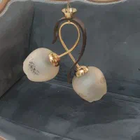 لوستر دوشاخه سالم