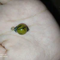 مهره اصلی|کلکسیون اشیاء عتیقه|اهواز, کیانپارس |دیوار