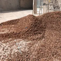 پوست گردو