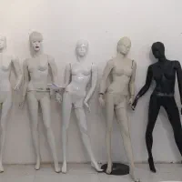 مانکن و پرو با ویترین|فروشگاه و مغازه|مشهد, حسین‌آباد|دیوار