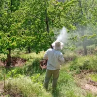 باغبون با جای خواب