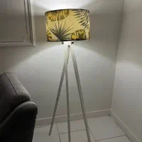 آباژور تمیز