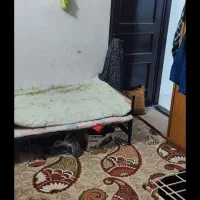 خانه 65متری مناسب عروس داماد|فروش آپارتمان|مشهد, کاظم آباد پنجشنبه|دیوار