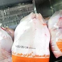 پخش و فروش مرغ کشتار روز