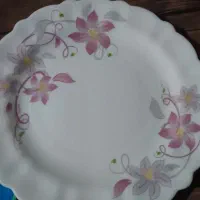 سرویس آرکوپال ۱۲نفره|ظروف سرو و پذیرایی|تهران, شهرک رضویه|دیوار