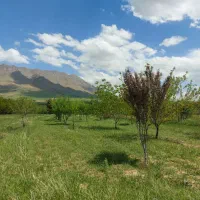 باغ فروشی آستانه|فروش زمین و ملک کلنگی|شازند, |دیوار