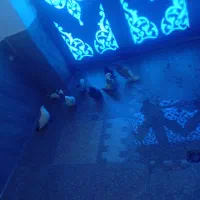 2000|حیوانات مزرعه|دهگلان, |دیوار