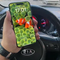 iphone 15 Pro Max 256GB|موبایل|گنبد کاووس, |دیوار