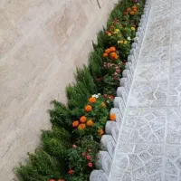 خدمات باغبانی باغچه کاری تعویضی خاک گلدون کاشت گل|خدمات باغبانی و درختکاری|تهران, ستارخان|دیوار