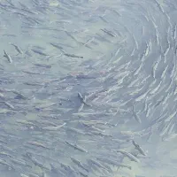 استخدام کارگر جهت استخر پرورش ماهی