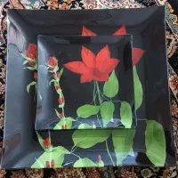 میوه خوری|ظروف سرو و پذیرایی|سنندج, |دیوار