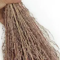 جارو محلی