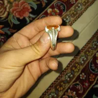 انگشتر یاقوت زرد آفریقایی|جواهرات|سنندج, |دیوار