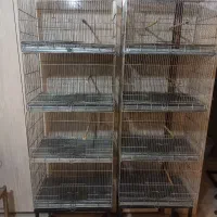 قفس 4 خان غلامی