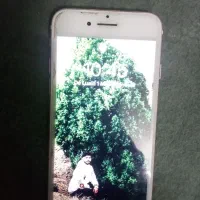 اپل iPhone 7 با حافظهٔ ۱۲۸ گیگابایت