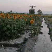 زمین-کشاورزی-مرغوب