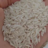 برنج طارم هاشمی فریدونکنار|خوردنی و آشامیدنی|هشتگرد, فاز ۷ مهستان|دیوار