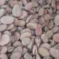 باقلا برا بذر ، آگهی رو خوب بخون