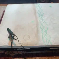 مبل شویی|خدمات نظافت|بندرعباس, |دیوار