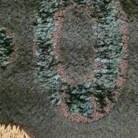 فرش شگی|فرش|شاهین‌شهر, شهرک گلدیس|دیوار