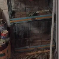 قفس بزرگ پرنده