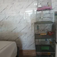 فروش ۴عددقفس پرنده
