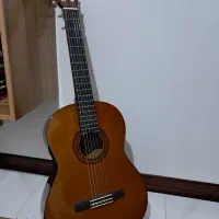 گیتار درحدنو