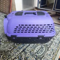 باکس سگ پامرا