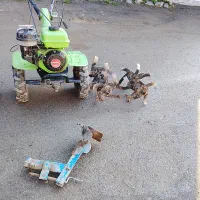 هرس درختان شخم زدن باغ کلیه کارهای باغی