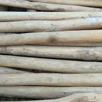 تیر چوبی دسته دوم قیمت توافقی