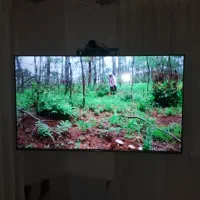 یخچال دوقولو و ال ای دی بخاری شومینه|یخچال و فریزر|مهاباد (آذربایجان غربی), |دیوار