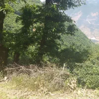 زمین-در-دنج-ترین-لوکیشن-منطقه