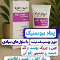 بیوممتیک ایتالیایی