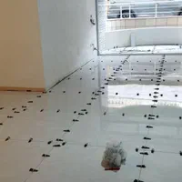گچکاری کاشی تخریب کاری کاشیکار گچکار بنایی