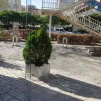 اجاره مغازه ۱۵ متری شیک اداری/املاک/انبار/کافی شاپ|اجارهٔ مغازه و غرفه|مشهد, شهرک لشکر (شهرک غرب)|دیوار