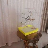 قفس پرنده