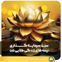 انجام بیمه‌های بازنشستگی کوتاه‌مدت (طرح ویژه)