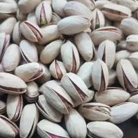پسته درجه یک احمدآقایی صادراتی
